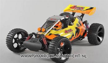 Fg Off-road Baja Buggy 4x4 Painted body 1/6 26cc RTR